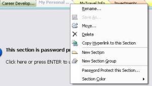 Password Protection